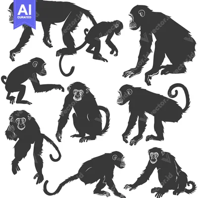 Aset premium populer: A Collection of Black and White Monkey Silhouettes in Various Poses
