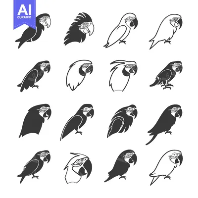 Aset desain premium: A Collection of Black and White Parrot Illustrations
