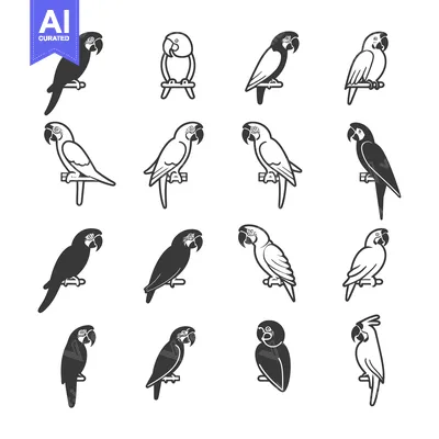 Popular premium asset: A Collection of Black and White Parrot Illustrations
