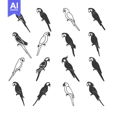 Aset premium populer: A Collection of Black and White Parrot Silhouettes