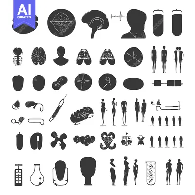 Aset desain premium: A Collection of Black and White Silhouettes Depicting Human Anatomy an