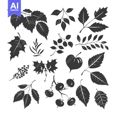 Aset desain premium: A Collection of Black and White Silhouettes of Various Leaves and Berr