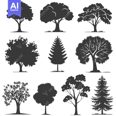 A Collection of Black and White Tree Silhouettes