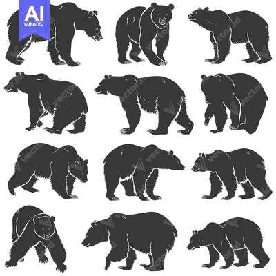 Popular premium asset: A Collection of Black Bear Silhouettes in Various Poses