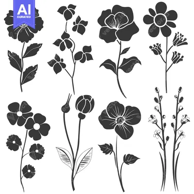 Premium design asset: A Collection of Black Silhouette Flower Illustrations