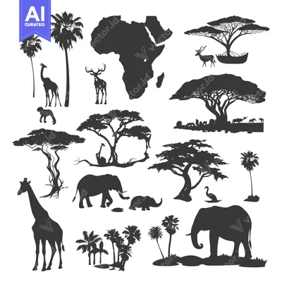 Popular premium asset: A Collection of Black Silhouettes Depicting African Wildlife and Lands