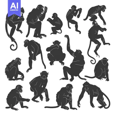 Aset premium populer: A Collection of Black Silhouettes of Monkeys in Various Poses