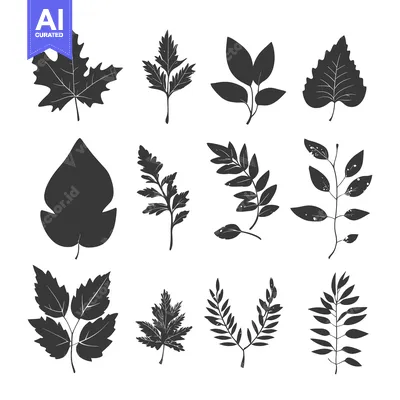 Popular premium asset: A Collection of Black Silhouettes of Various Leaf Shapes