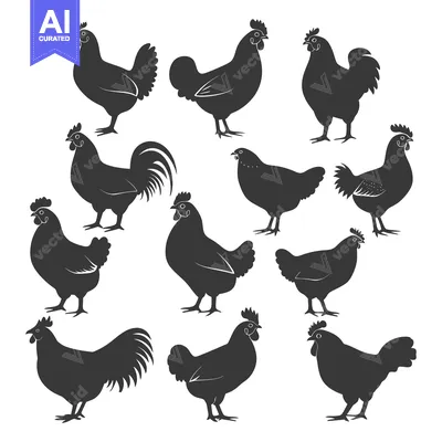Premium design asset: A Collection of Chicken Silhouettes in Various Poses
