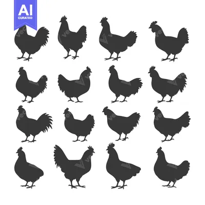 Aset premium populer: A Collection of Chicken Silhouettes in Various Poses