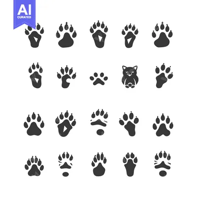 A Collection of Different Animal Paw Prints and a Cat Silhouette