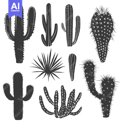 A Collection of Different Cactus Silhouettes
