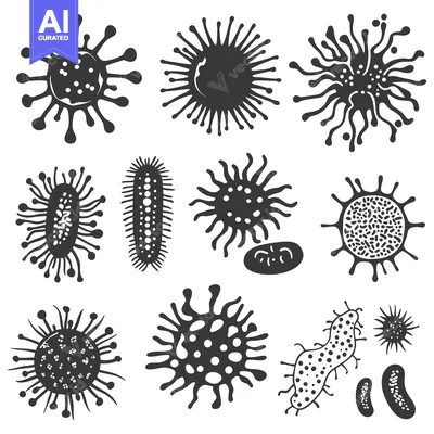 A Collection of Different Types of Microorganisms