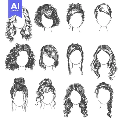 Aset desain premium: A Collection of Diverse Hairstyles for Women, Illustrated in a Hand-Dr