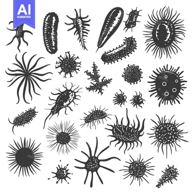 Popular premium asset: A Collection of Diverse Microorganisms in Black and White Silhouettes