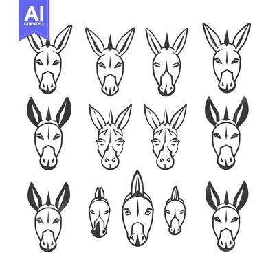 Aset premium populer: A Collection of Donkey Head Illustrations in Black and White