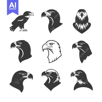 Aset desain premium: A Collection of Eagle Silhouettes in Various Poses