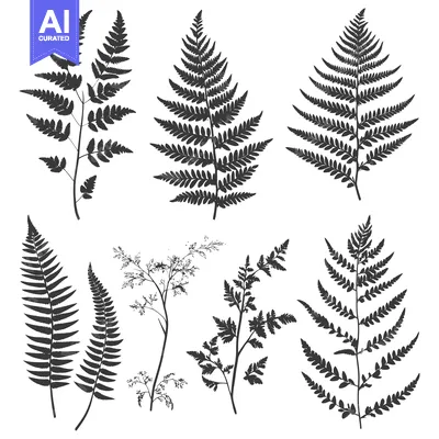 Popular premium asset: A Collection of Fern and Grass Silhouettes