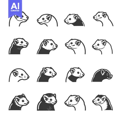 Popular premium asset: A Collection of Ferret Head Illustrations in Various Styles