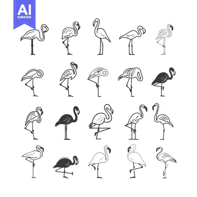 Aset desain premium: A Collection of Flamingo Illustrations in Various Poses