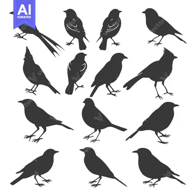 Premium design asset: A Collection of Fourteen Bird Silhouettes