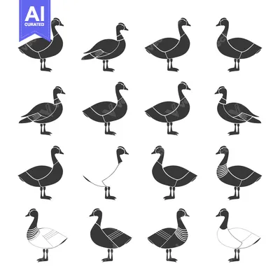 Aset premium populer: A Collection of Fourteen Goose Silhouettes in Various Poses