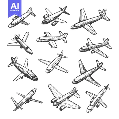 Premium design asset: A Collection of Hand-Drawn Airplane Illustrations in Flight