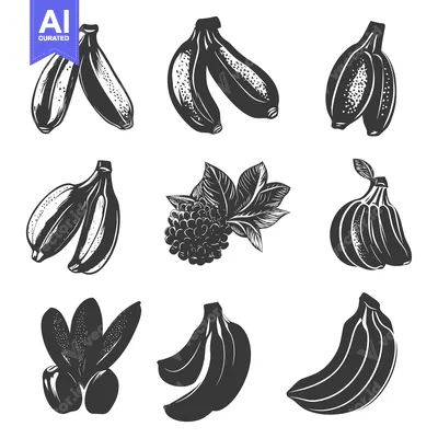 A Collection of Hand-Drawn Black and White Banana Illustrations