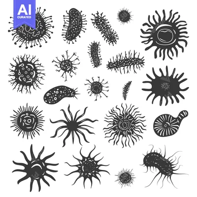 A Collection of Hand-Drawn Black and White Microorganisms