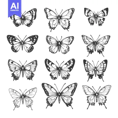 Aset desain premium: A Collection of Hand-Drawn Butterfly Illustrations
