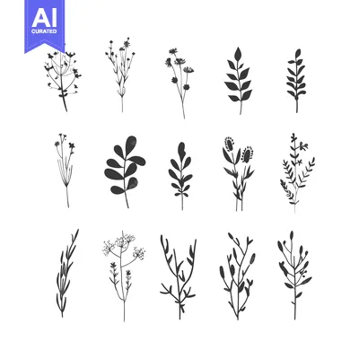 Aset premium populer: A Collection of Hand-Drawn Floral Silhouettes