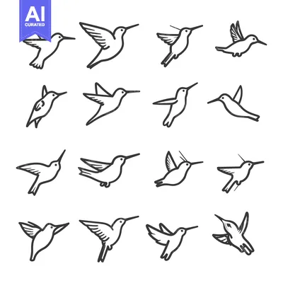 Aset premium populer: A Collection of Hand-Drawn Hummingbird Illustrations in Various Flying