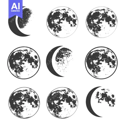 A Collection of Hand-Drawn Moon Phases in Black and White
