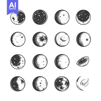 A Collection of Hand-Drawn Moon Phases in Various Stages
