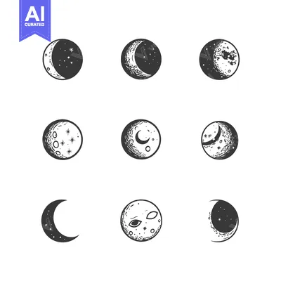 Premium design asset: A Collection of Hand-Drawn Moon Phases with Detailed Surface Features
