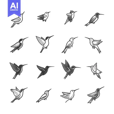 Popular premium asset: A Collection of Hummingbird Sketches in Flight and Perched Positions