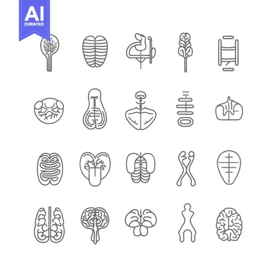 Popular premium asset: A Collection of Line Drawings Depicting Various Human Organs