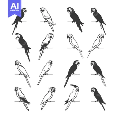 Aset desain premium: A Collection of Macaw Parrot Silhouettes in Different Poses
