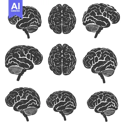 A Collection of Nine Black and White Silhouettes of Human Brains