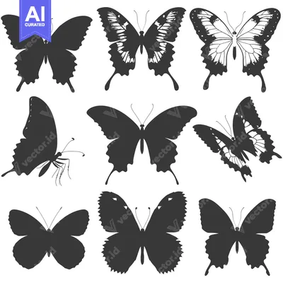 Popular premium asset: A Collection of Nine Black Butterfly Silhouettes