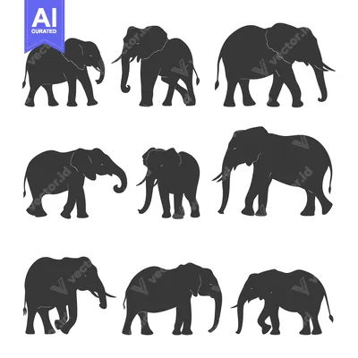 Popular premium asset: A collection of nine elephant silhouettes in various poses