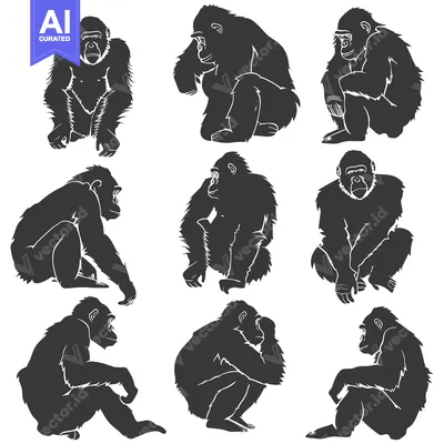 Aset premium populer: A Collection of Nine Gorilla Silhouettes in Various Poses