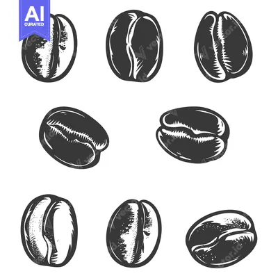 Popular premium asset: A Collection of Nine Hand-Drawn Coffee Beans