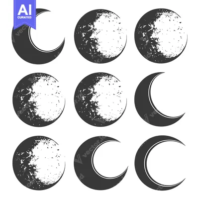 Aset desain premium: A Collection of Nine Moon Phases in Black and White