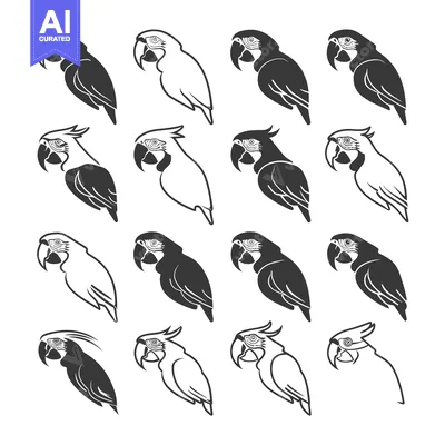 Popular premium asset: A Collection of Parrot Silhouettes in Black and White