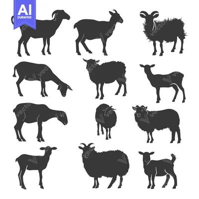 Aset premium populer: A Collection of Sheep and Goat Silhouettes in Various Poses