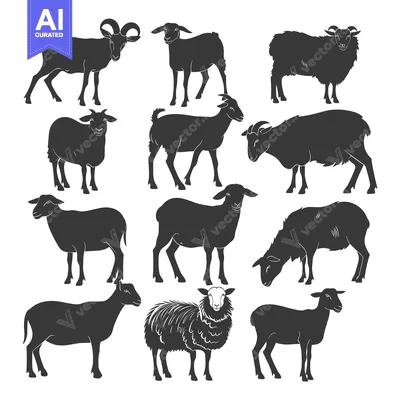 Popular premium asset: A Collection of Sheep and Goat Silhouettes in Various Poses