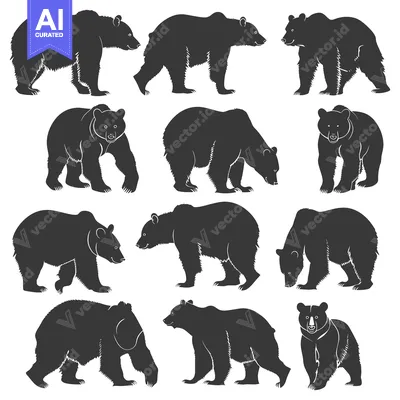 Aset premium populer: A Collection of Silhouette Images Depicting Bears in Various Poses
