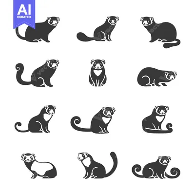A Collection of Silhouettes of Ferrets in Various Poses