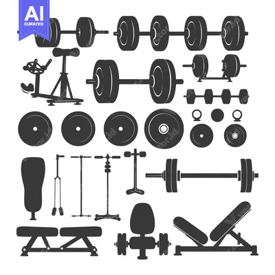 A Collection of Silhouettes of Gym Equipment, Including Barbells, Dumb